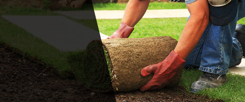 Frackville Landscapers